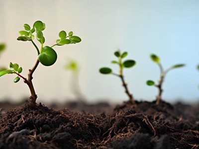 imToken 1.0回顾：安全性欠缺、功能局限，早期用户遭遇了哪些困扰？