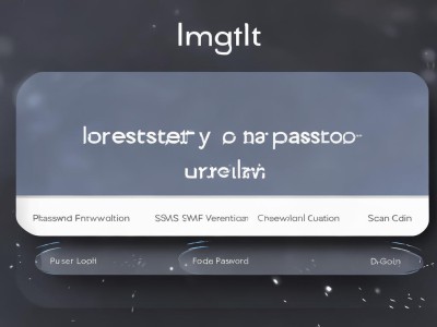 im钱包安卓版：隐私维护与数据保障的关键所在？