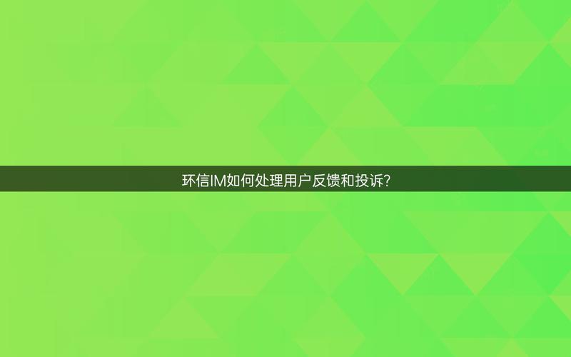 客户满意度改进计划_im钱包App的客户反馈与持续改进计划_钱包账户问题反馈